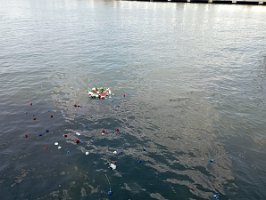 453219241_10220675384833689_7721769655416631140_n