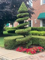 453255698_887842170034461_2557202767870303812_n