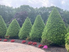 453402854_8332386910106394_7148769113987060125_n