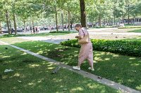 2024 DDG-5 Reunion-257